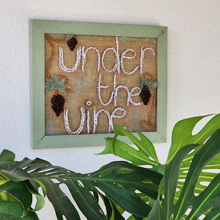 Under The Vine Garden House Apartment Platanion Exterior photo